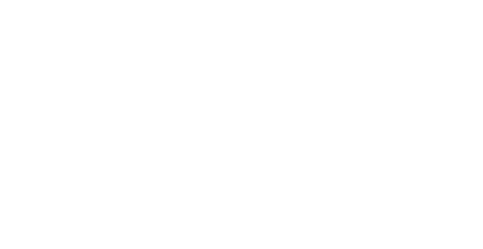 logo-solo